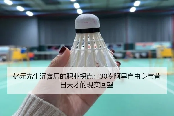 亿元先生沉寂后的职业拐点:30岁阿里自由身与昔日天才的现实回望